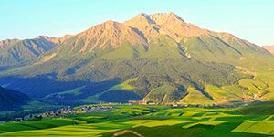 甘肅建投生態(tài)建設(shè)集團(tuán)有限公司隸屬于中國(guó)500強(qiáng)企業(yè)—甘肅省建設(shè)投資（控股）集團(tuán)有限公司，是甘肅建投貫徹落實(shí)“五位一體”總體布局和新發(fā)展理念，推進(jìn)生態(tài)治理板塊發(fā)展的新業(yè)態(tài)公司。
